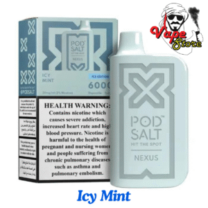 6000 Puffs Disposable Icy Mint